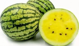 大宋吃瓜局,揭秘吃瓜局背后的宫廷风云