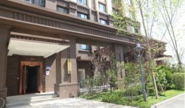 吃瓜系统将军府,吃瓜系统下的权力博弈