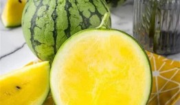 绿皮田瓜怎么吃,解锁田园美味新体验