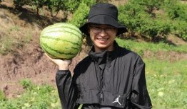 小沙子吃瓜,揭秘瓜界那些事儿