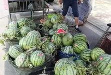 南京古茗事件吃瓜,一场奶茶店的“甜蜜”风波揭秘