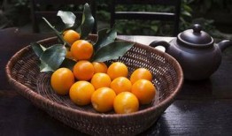 吃小金桔能吃方瓜吗,探寻奇妙搭配的美食奥秘