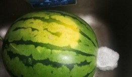 吃瓜会吐,揭秘网络舆论背后的真相