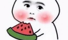 我们吃瓜该不该动脑子,理性看待网络热点，别让情绪左右思维