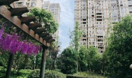 世纪滨江吃瓜,一场热闹非凡的吃瓜盛宴