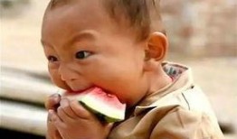 吃瓜增肥,轻松享“福”，健康塑形新风尚