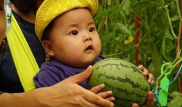 瓜弟吃瓜群,揭秘网络社交圈的“瓜”文化现象