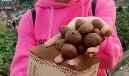 小妖在吃瓜,揭秘娱乐圈背后的秘密与八卦