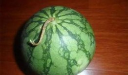 初恋吃瓜怎么挑瓜,如何挑选完美初恋瓜