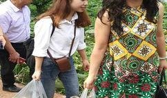 吃瓜事件最多的地方,揭秘最“热闹”的瓜田