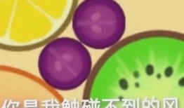 吃大瓜得高分,揭秘美食与学业成就的奇妙关系