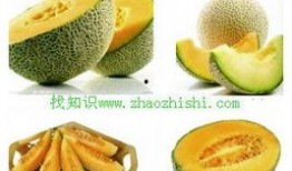 凉胃可以吃哈密瓜吗,哈密瓜的消暑养生之道