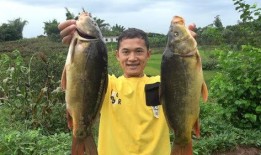 刘大瓜吃货,探寻美食世界的独特旅程