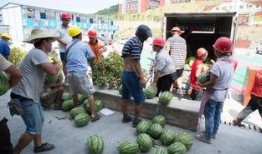 精确吃瓜,精确吃瓜，洞察明星幕后真相