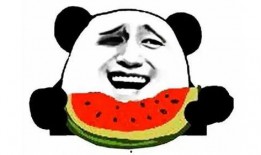 11月4日吃瓜,吃瓜群众见证的娱乐圈风云变幻