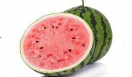 吃货吃无籽麒麟瓜,吃货们的夏日美味新宠