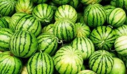 会火吃瓜,揭秘娱乐圈幕后故事