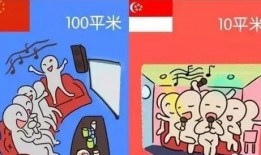 吃瓜加两字,揭秘娱乐圈风云