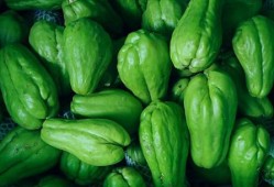 福建长乐游神吃瓜,一场别开生面的吃瓜文化体验