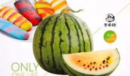 吃玲珑瓜冰激淋,玲珑瓜冰激淋，尽享清新口感之旅