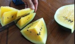 吊央瓜怎么吃,解锁美味新体验