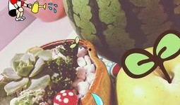 无规则吃瓜,揭秘娱乐圈幕后真相