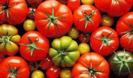 吃瓜大料番茄小说,番茄小说中的神秘世界