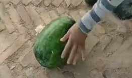 专一吃瓜,揭秘娱乐圈那些不为人知的幕后故事