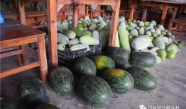 鹤山网红吃瓜,揭秘幕后故事与热门话题