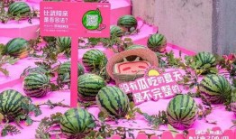 b站吃瓜影视,带你领略网络娱乐新风向