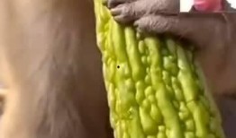 吃瓜网友反应,揭秘娱乐圈最新热点事件！