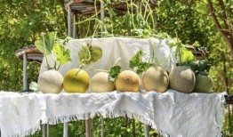 吃瓜归乡合集大全,揭秘乡村生活百态的趣味合集