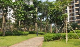 世纪滨江吃瓜,一场热闹非凡的吃瓜盛宴