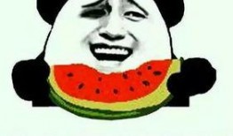 吃瓜滴,网络热词背后的文化现象