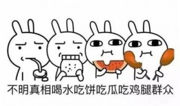 吃瓜群众普通粉丝,吃瓜群众与普通粉丝的幕后故事