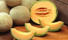 吃哈密瓜和西瓜呕吐