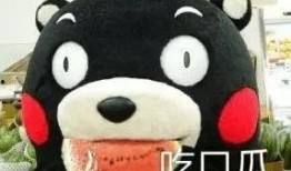 假如大家都在吃瓜,揭秘娱乐圈的幕后故事