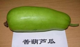 吃葫芦瓜慢性中毒,探究病因与预防措施