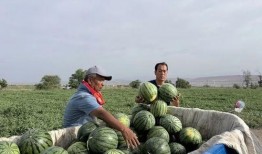 小严吃瓜,揭秘娱乐圈那些不为人知的幕后故事