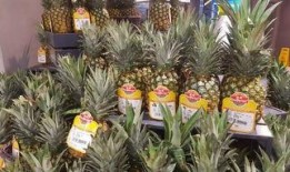 落地镜吃瓜,揭秘娱乐圈幕后故事