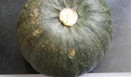 吃瓜小屋,网络热点的幕后故事