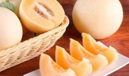 孕妇可以吃浙江白脆蜜瓜,浙江白脆蜜瓜，营养美味两不误
