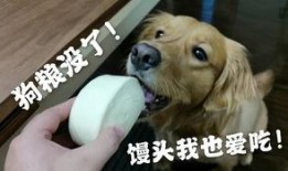 狗头瓜月子怎么吃,营养滋补，助力产后恢复