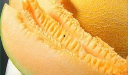 凉胃可以吃哈密瓜吗,哈密瓜的消暑养生之道