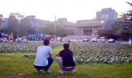 世昌广场吃瓜事件,一场引发社会热议的街头冲突