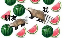 吃个瓜的吃怎么写,揭秘“吃瓜群众”背后的故事