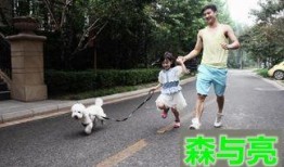 宁晋遛狗吃瓜事件