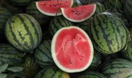 南昌一瓜两吃,创意美食背后的文化传承与创新