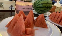 苏州人民吃瓜,品味姑苏城里的夏日清凉