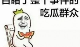 王大爷吃瓜群众,吃瓜群众的智慧与幽默